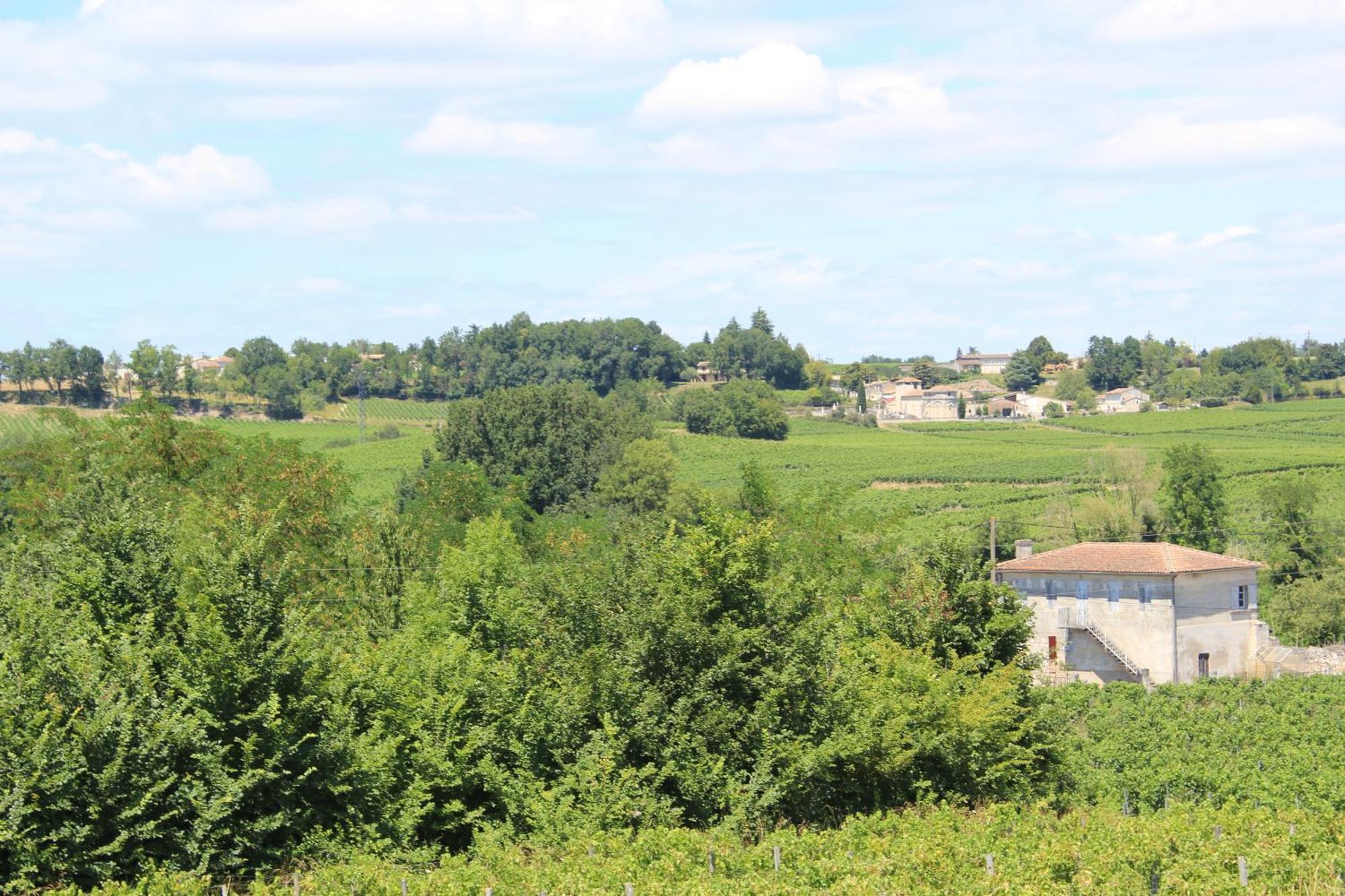 Les Charmes De Vincent - Le Loft Cabernet Bed & Breakfast Fronsac  Eksteriør bilde